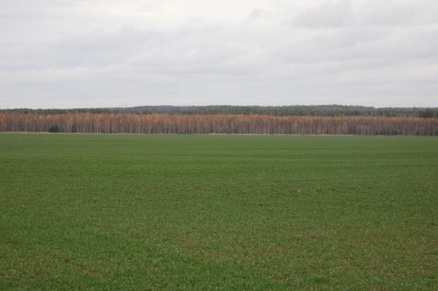 Налог на заброшенные участки земли в Нижегородской области вырастет в пять раз