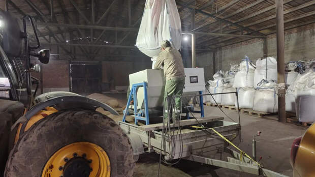 Российские ученые применили лазерное облучение семян и повысили их урожайность