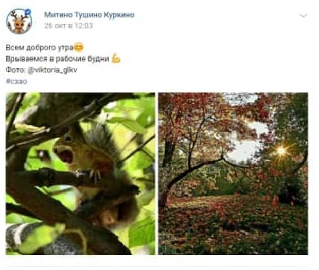 Фотограф-любитель из Северного Тушина «поймал» белочку за обедом
