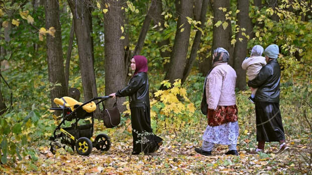 Володин: с 28 января МВД получит доступ к данным о детях-мигрантах в школах