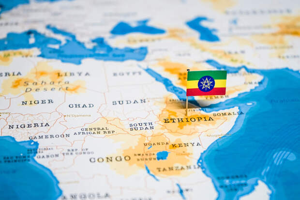 В результате нападения в Эфиопии не выжил известный турецкий бизнесмен