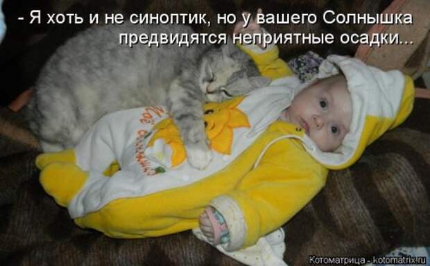 Новая котоматрица недели (39 фото)