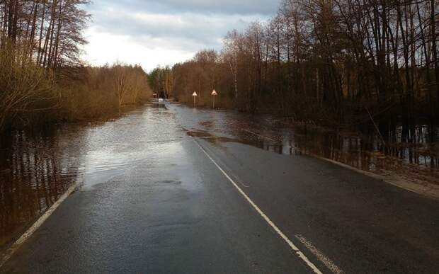 Соцсети: в Клепиковском округе перелило дорогу