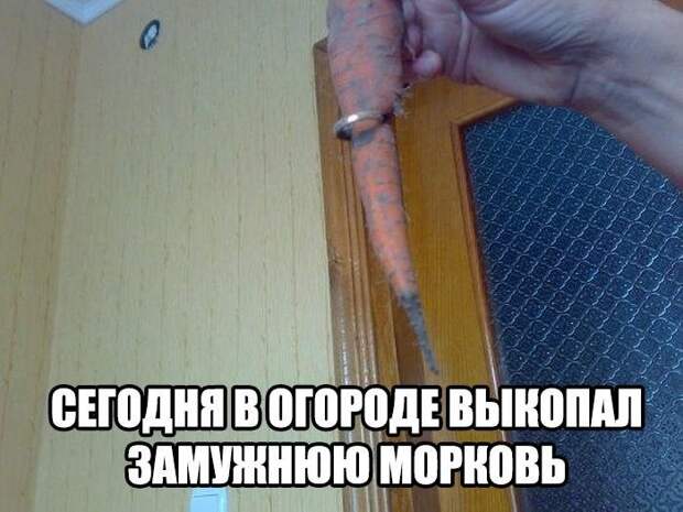 Смешные картинки с надписями прикол, юмор