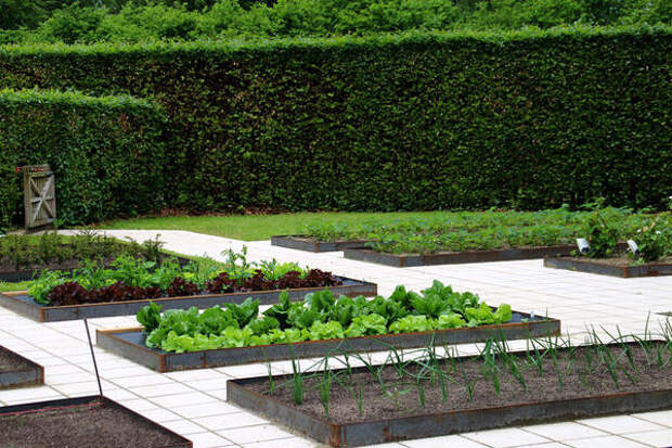 Огород в регулярном стиле. Фото с сайта www.florapassionis.com