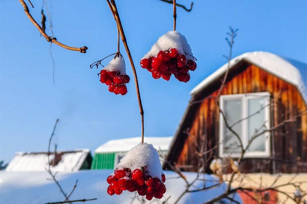 Прогноз погоды на 31 января и 1 февраля в Новосибирске сделали синоптики