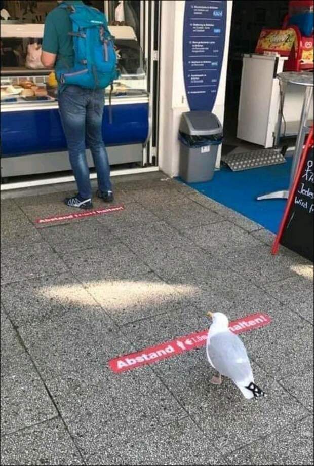 фото приколы