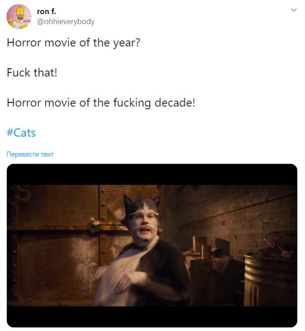 трейлер кошек