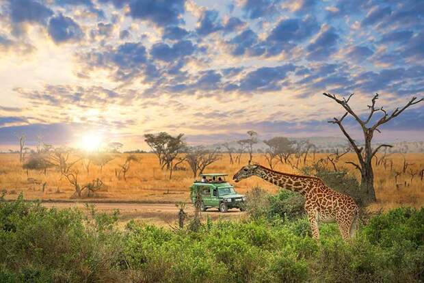 Африка Tanzania