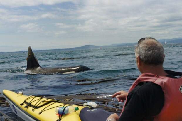 kartinok-veselyh-interesnyh-kartinki-smeshnye-kartinki-fotoprikoly kartinok-veselyh-interesnyh-kartinki-smeshnye-kartinki-fotoprikoly