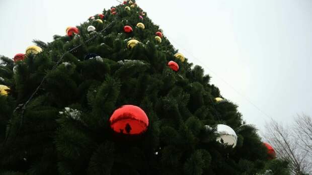 Новый год в Барнауле / Фото: amic.ru