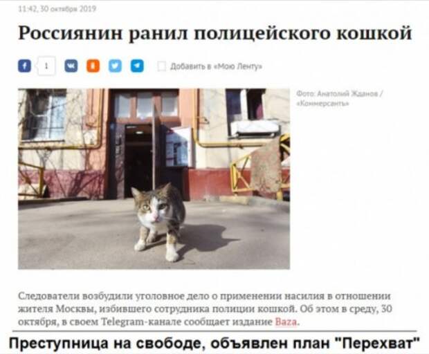 Юмор на любителя