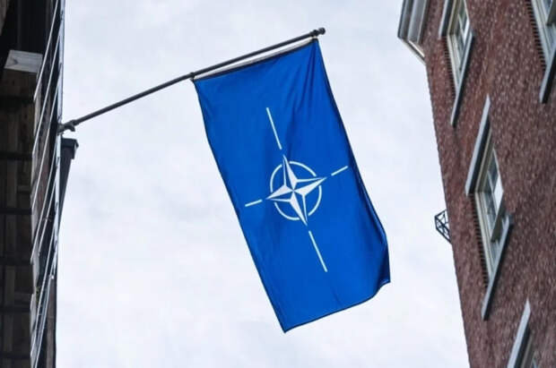 Steigan: НАТО потерпела окончательное поражение на Украине