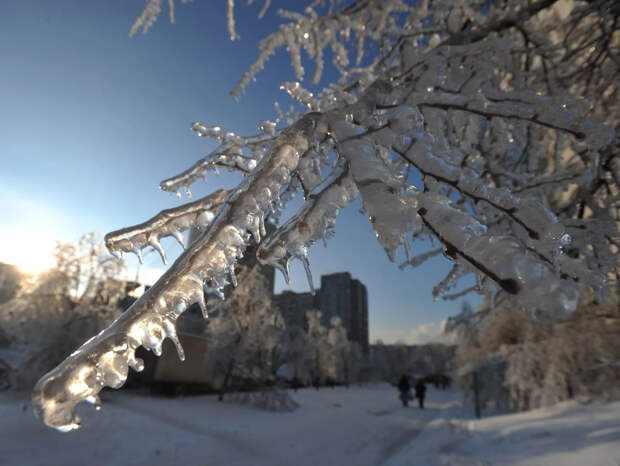 Синоптик предупредил о распространении аномальных холодов на европейскую часть России