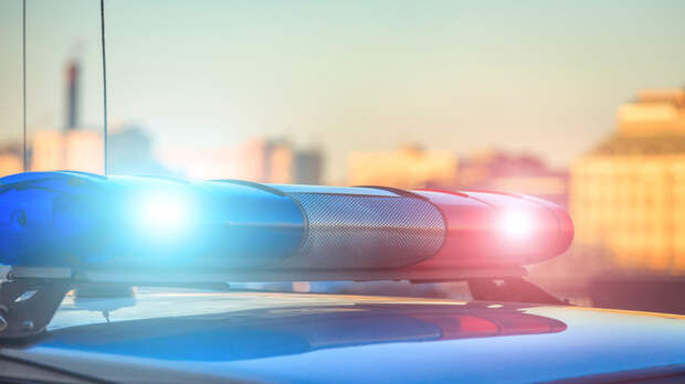 Воспитанника ЦСКА Адамса расстреляли и избили в подмосковном Звенигороде