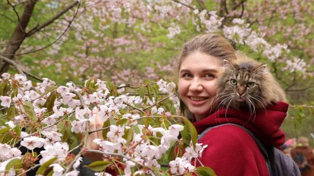 Фелинолог Пономарева рассказала, как выбрать кошку и какие необычные породы бывают