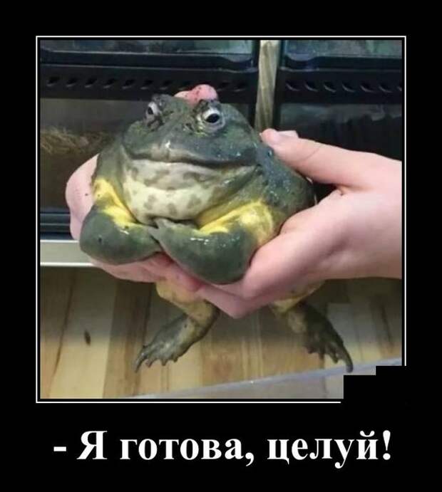 Демотиваторы (20 фото)