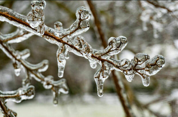 Синоптик спрогнозировал ледяные ливни в Москве в феврале