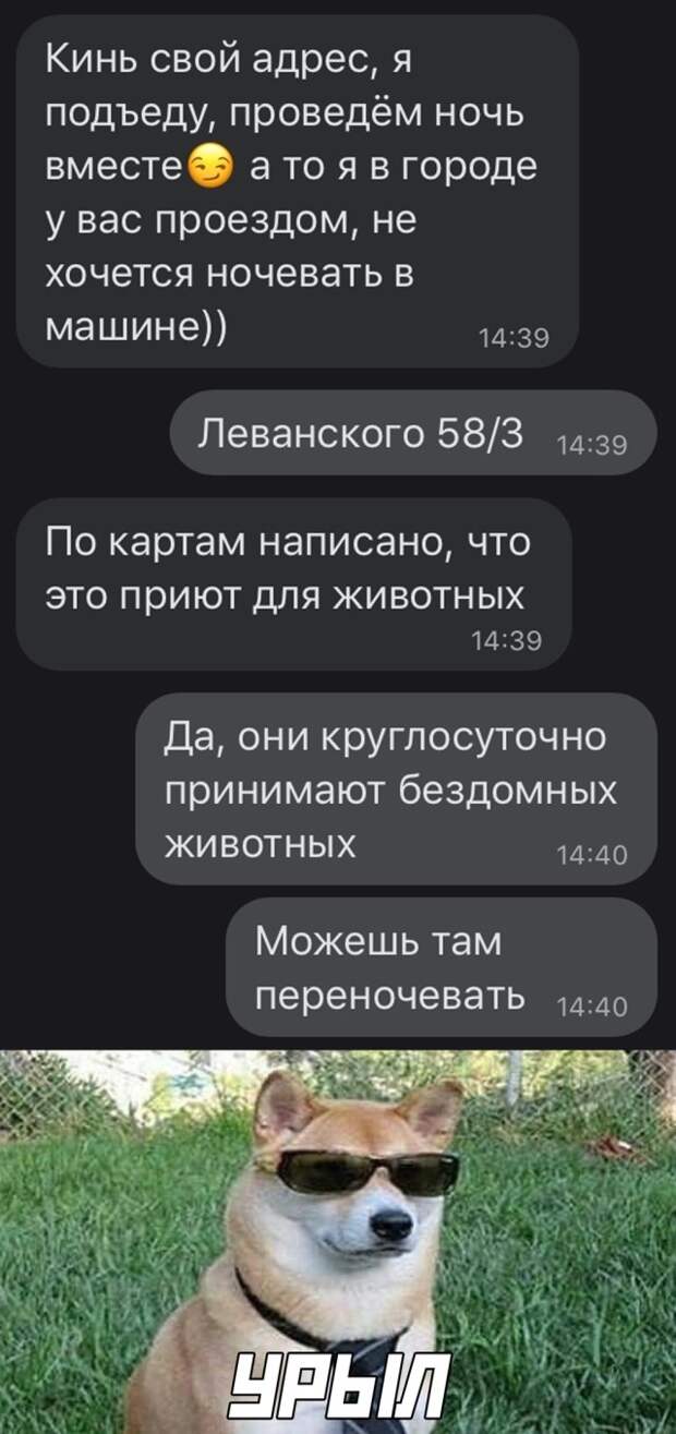 Подборка картинок. Вечерний выпуск (30 фото) - 15.10.2020