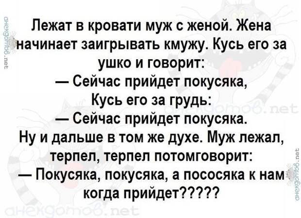 Анекдоты - лучшее от "анекдотовнет" Анекдоты - лучшее от "анекдотовнет"