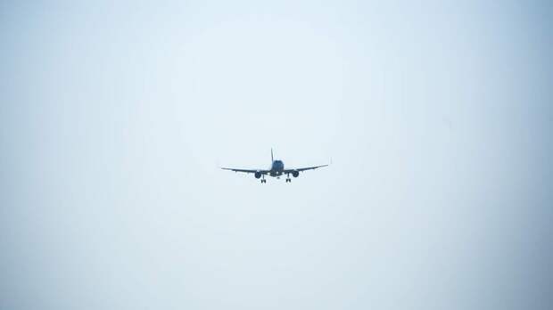 Самолет в небе / Фото: amic.ru                        