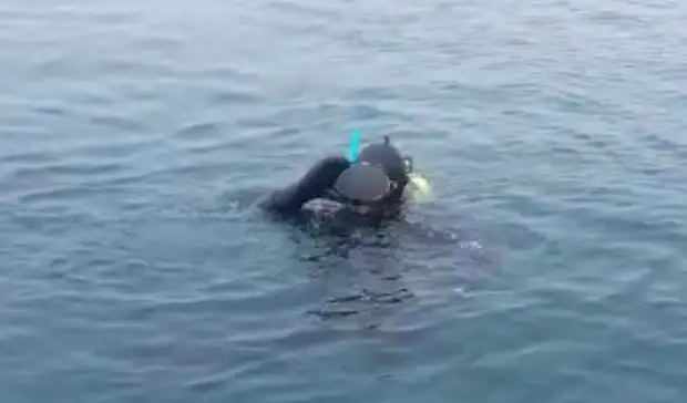 Сотрудники ФСБ Приморья выловили аквалангистов из воды недалеко от границы с КНДР