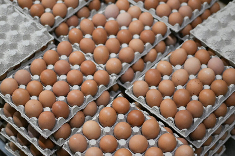 Яйца по-турецки. Как власти России борются с ажиотажным спросом на продукт