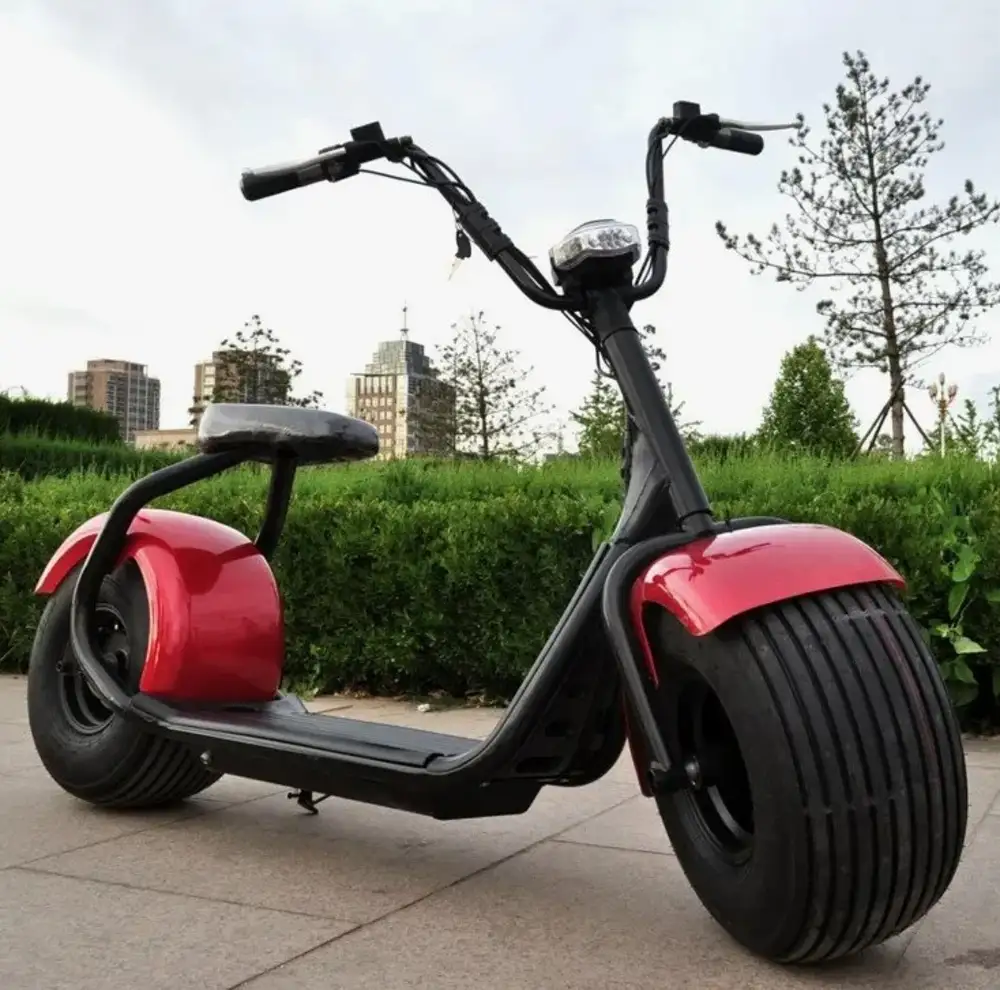 Мопед самокат. Электроскутер citycoco Blackline r2 ARX. Электросамокат Scooter двухколесный. Citycoco 1000w. Электросамокат City Coco.