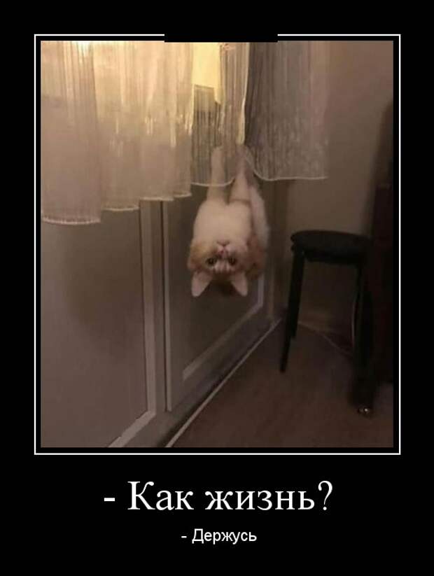 Демотиваторы (30 фото)