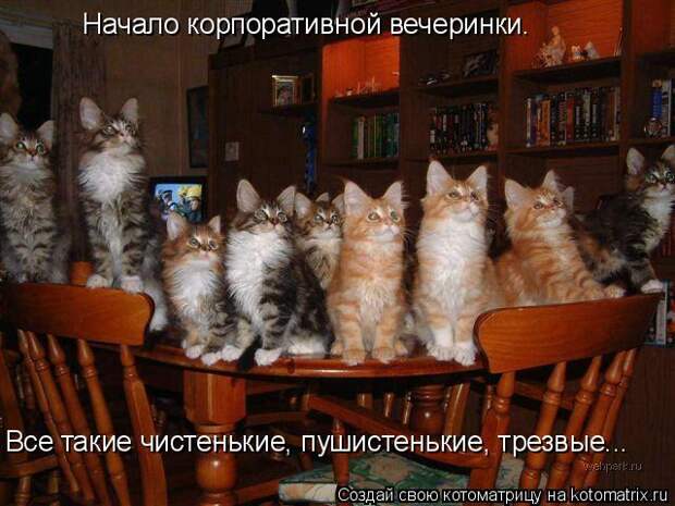 Давайте улыбаться вместе! :) (21улыбока)