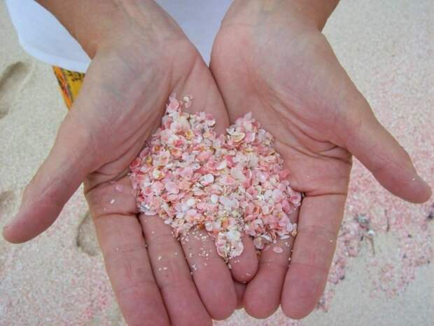 Песок розовый из-за ракушек. /Фото: en-stock4.top