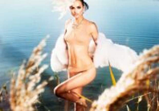 Wolford WILDLIFE | LookBook