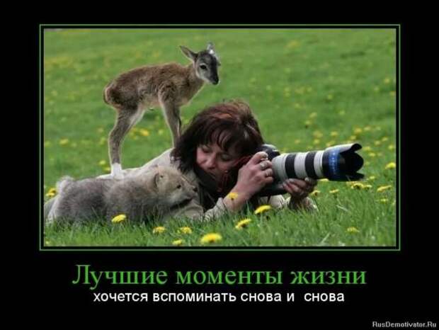 Прикольные демотиваторы с надписями. Подборка chert-poberi-dem-chert-poberi-dem-49510724102020-3 картинка chert-poberi-dem-49510724102020-3
