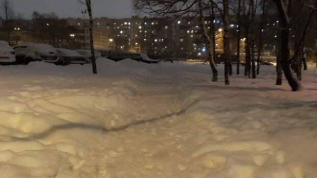 Опытный полярник Виктор Боярский рассказал, как выживать в холодном и заснеженном Петербурге