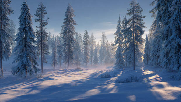 Пять месяцев в тайге: спасатель о шансах найти пропавших Усольцевых живыми