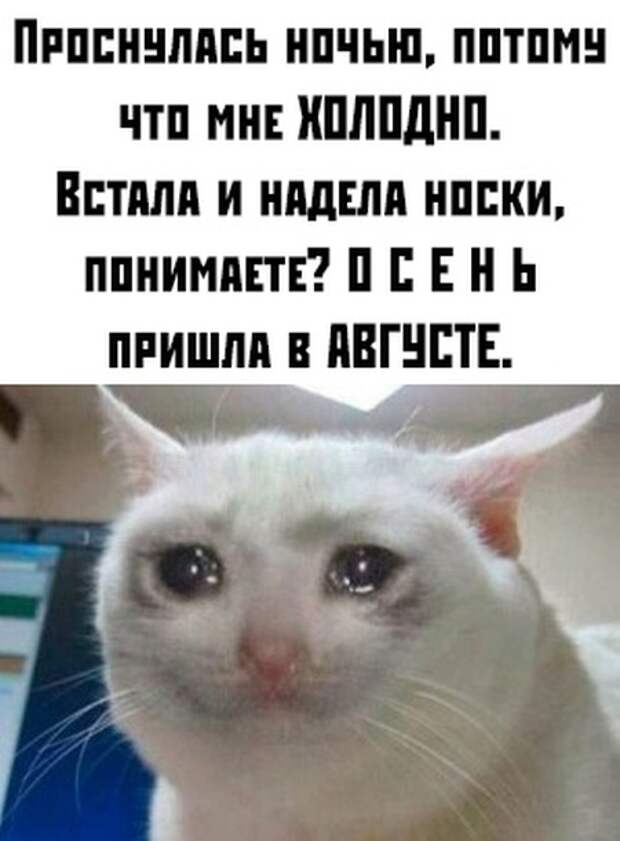 Подборка картинок. Вечерний выпуск (30 фото)