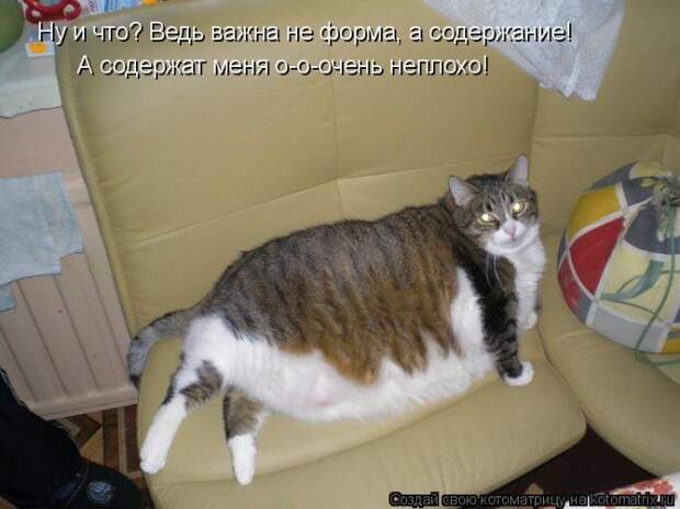 Мысли вслух :)