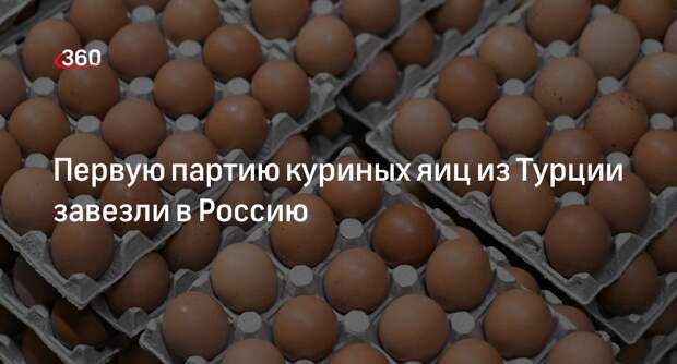 Россельхознадзор сообщил о прибытии первой партии куриных яиц из Турции