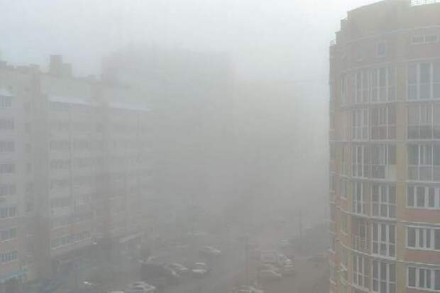В Тамбовской области в ближайшие часы ожидается туман
