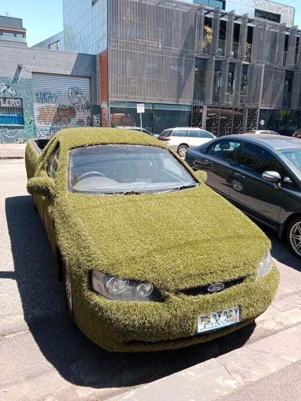 Скоро зацветёт Скоро зацветёт