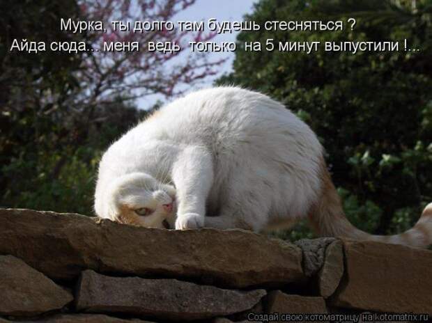 Мысли вслух :)