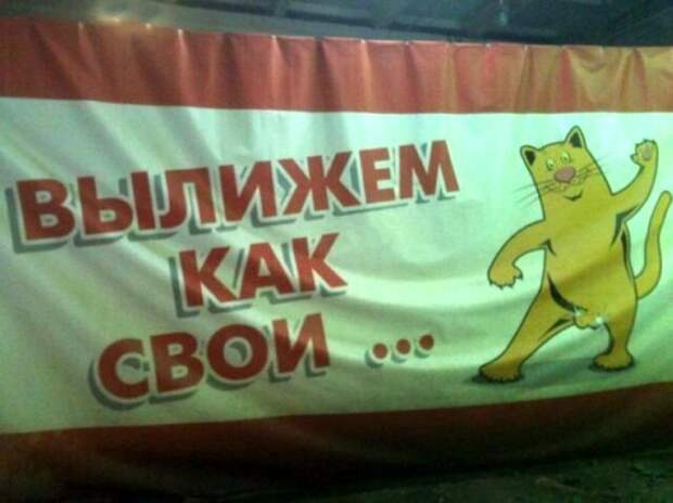 Понапишут всякого, а ты потом красней(15 фото)