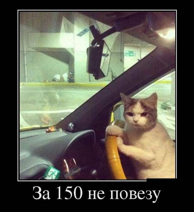Демотиваторы (20 фото)
