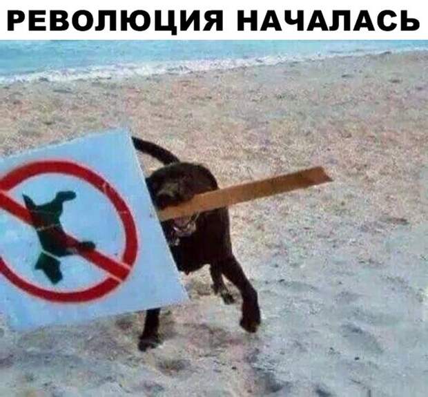 30 прикольных картинок