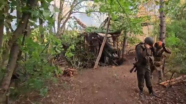 Минобороны показало кадры боевой работы САУ «Гиацинт-С» в зоне СВО