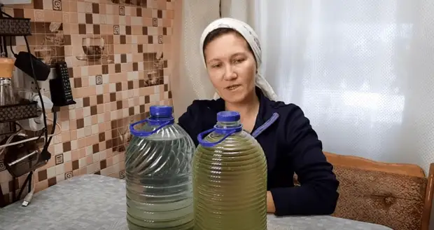 Мощнейшее удобрение для всех растений практически даром. Выращиваем хлореллу самостоятельно