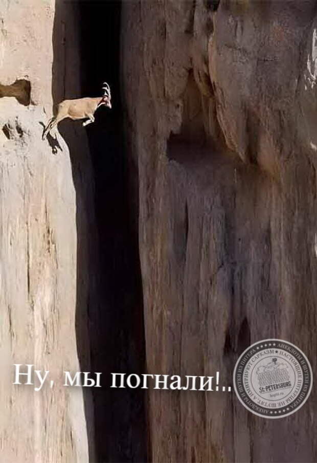 Ну мы погнали