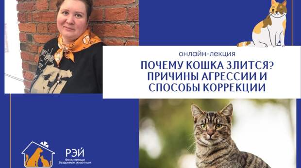 онлайн-лекция