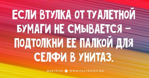 15 красочных открыток со свежими приколами!