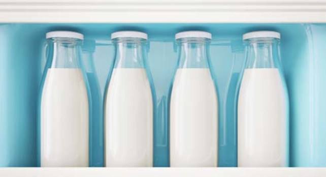 Как хранить молоко и молочные продукты